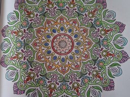 whatsapp bild 2025-02-22 um 11.35.55_55dbcd3c